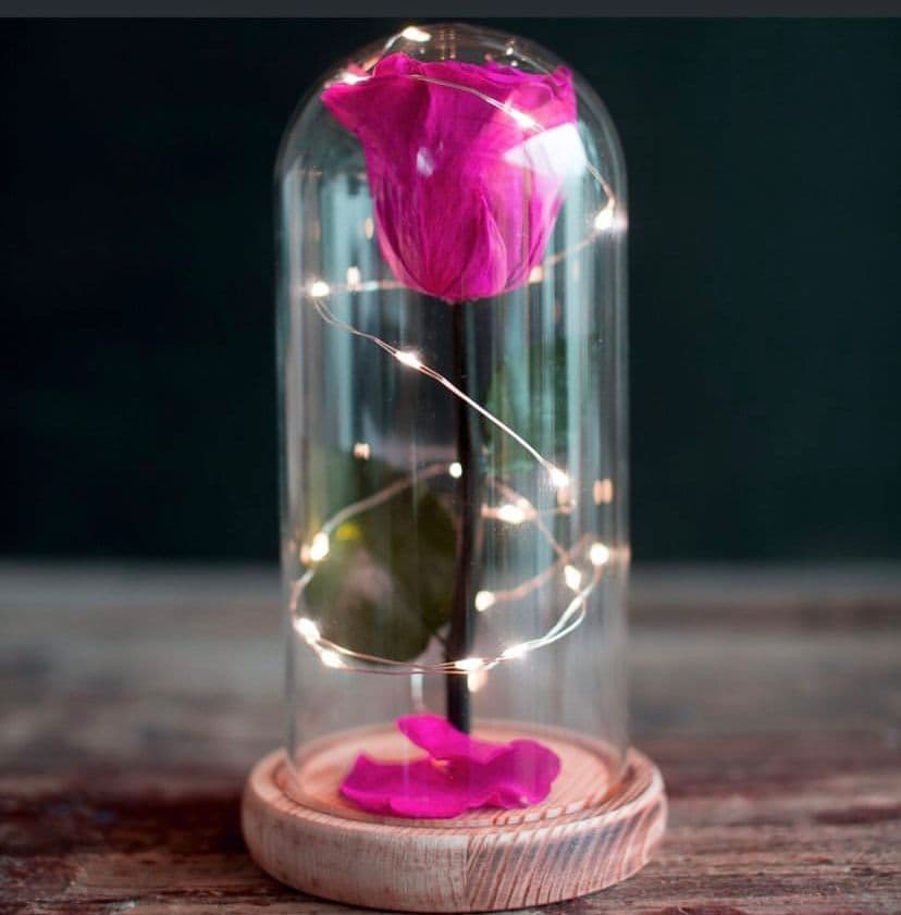 Rosa preservada (eterna) luces Mediana